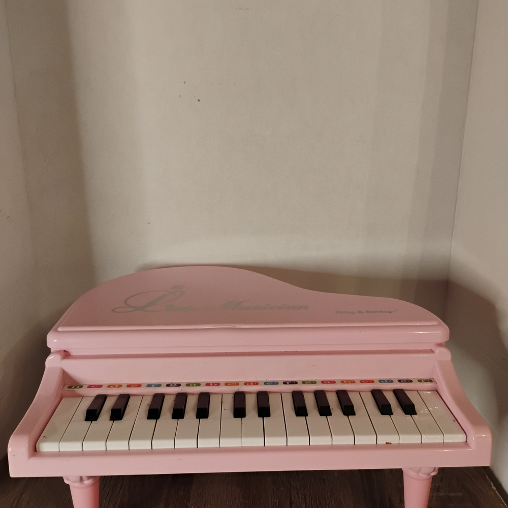 Little Musician Learning/Musical Toy Piano